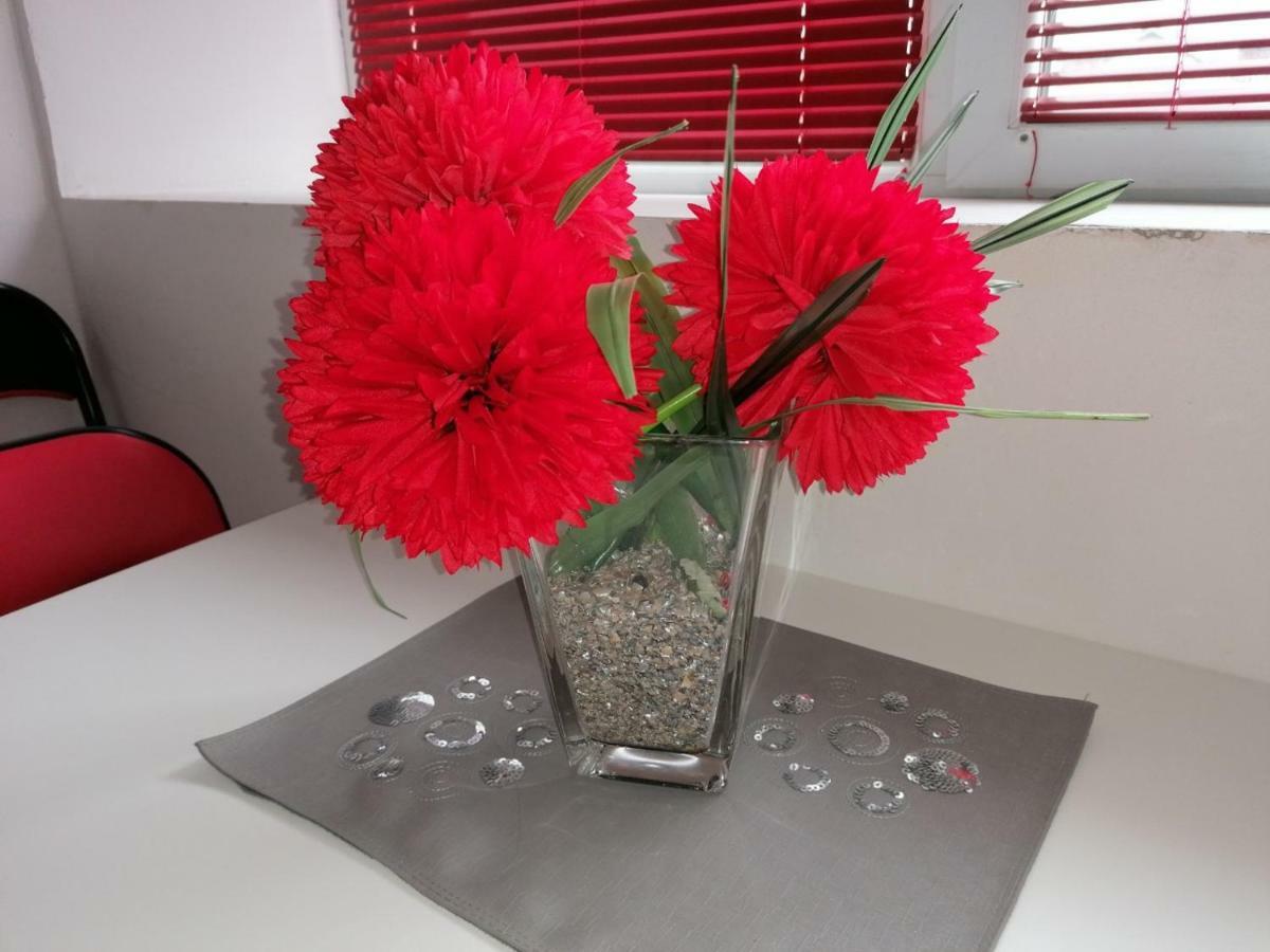 Jednosoban Stan Centar Appartement Pirot Buitenkant foto
