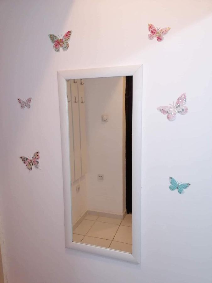 Jednosoban Stan Centar Appartement Pirot Buitenkant foto